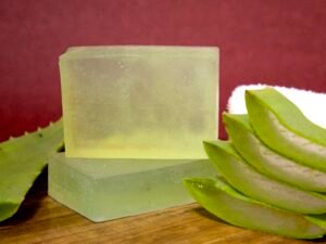 Fresh Aloe (Pack of 3)
